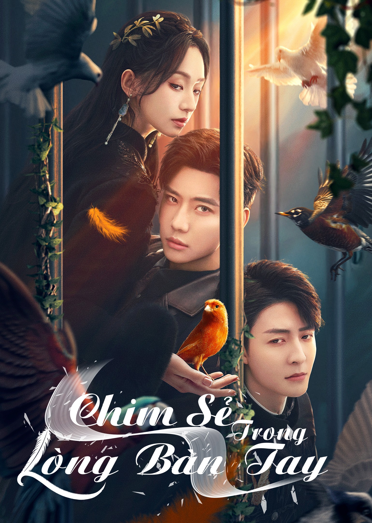 Xem phim Chim Sẻ Trong Lòng Bàn Tay